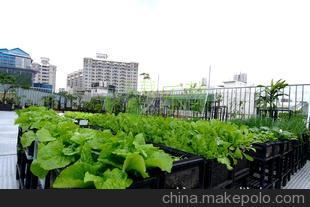 從種花到種菜 城市園藝新風(fēng)尚與樂(lè)栽樂(lè)哉的科技賦能